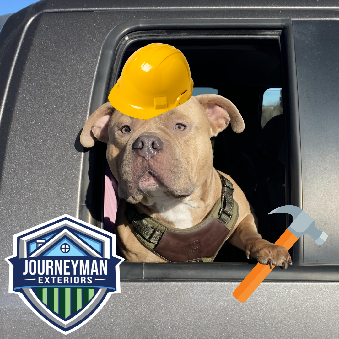 Meet Our Mascot, QC Clutch - The Pawsitively Adorable Quality Control Inspector!