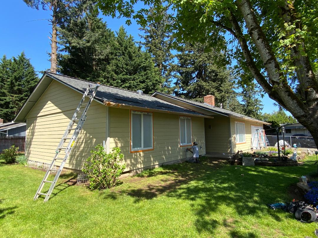 Work in Progress - Exclusive Video Update on our Dynamic Exterior Painting and Siding Project!
